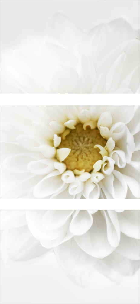 AL07876_SO3