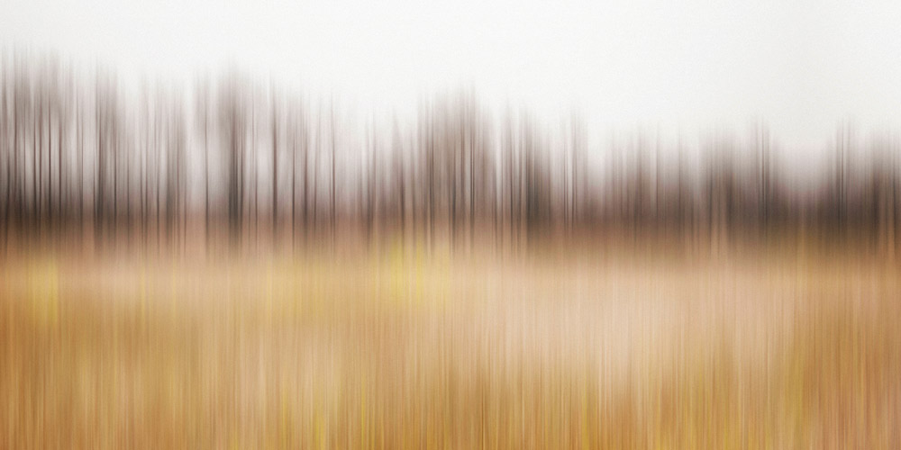 AL08269_36x72