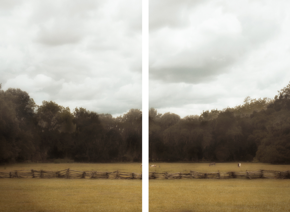 AL09587_2P