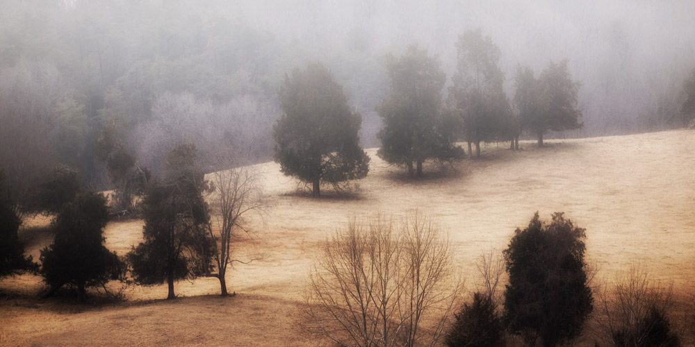 AL09627_36x72