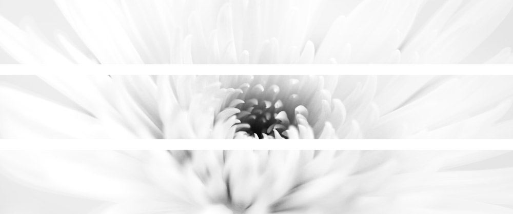 AL09706CBW_SO3