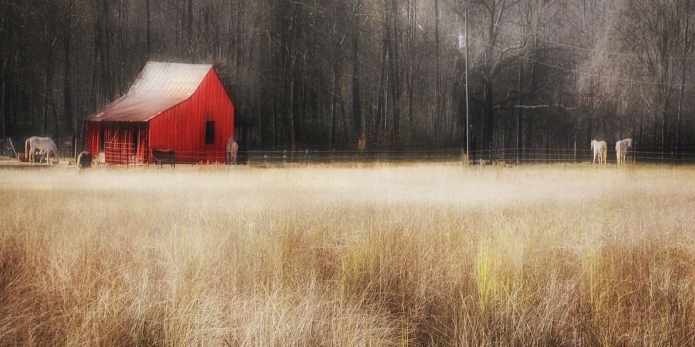 AL09729L_36x72