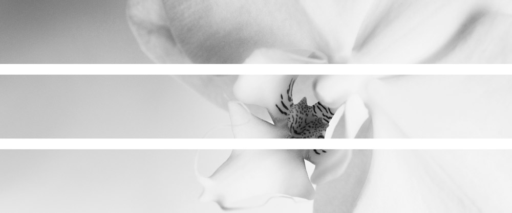 AL11251BW_SO3