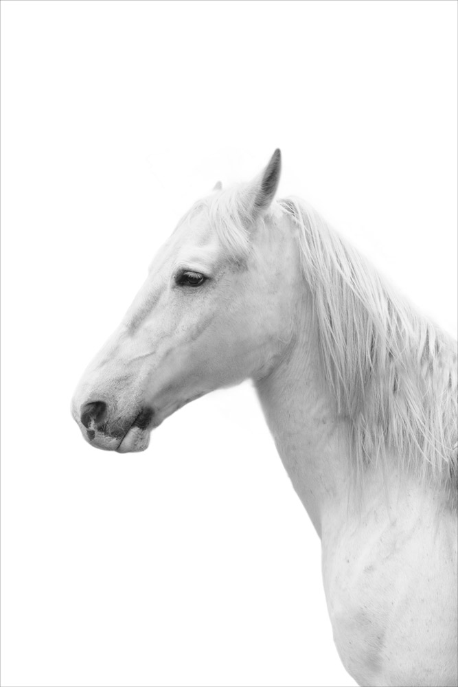 AL11487BW