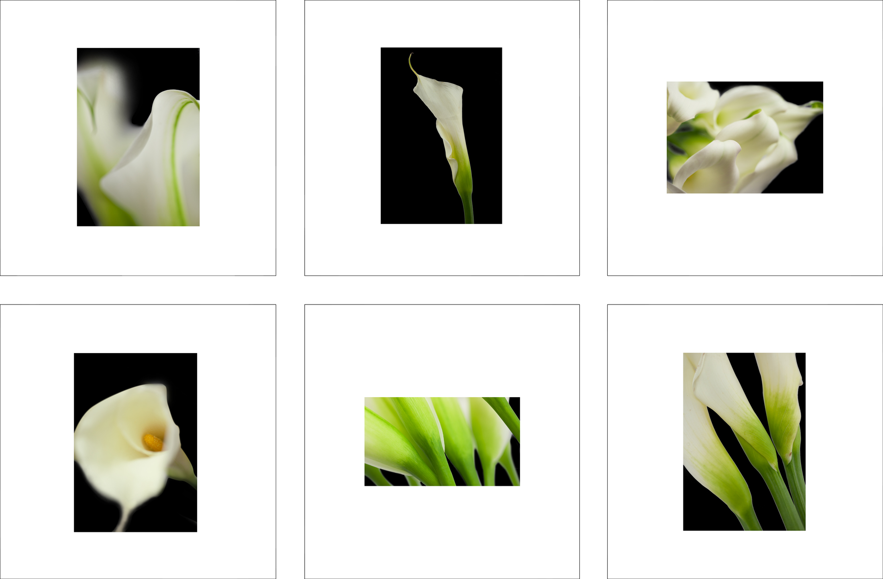 ALS111_6P
