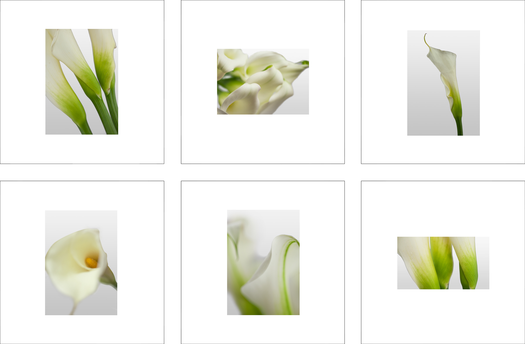 ALS112_6P
