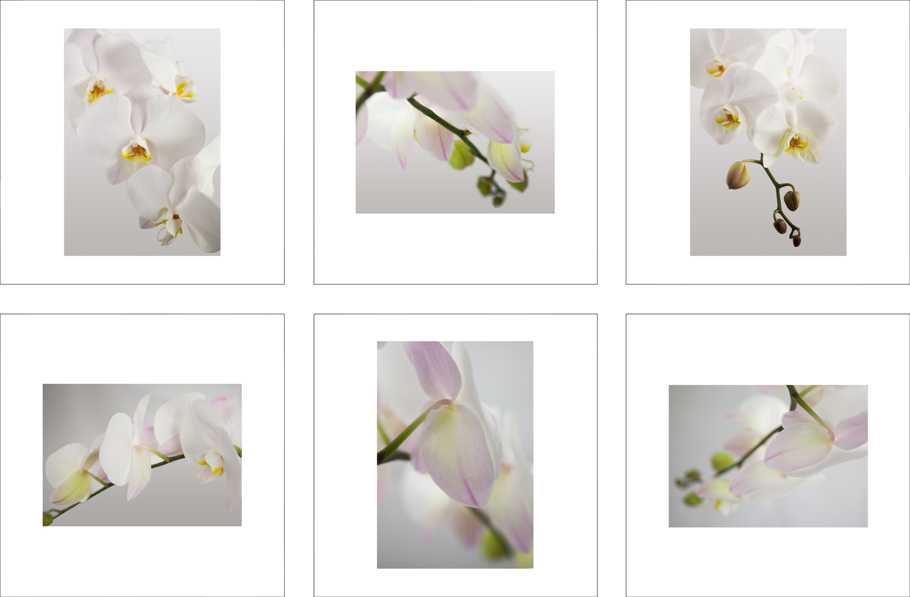 ALS114_6P