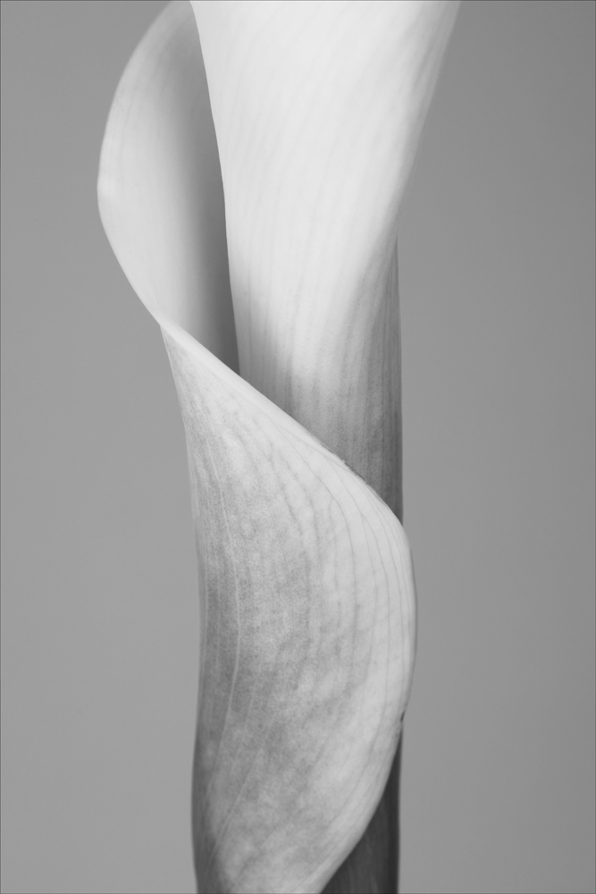 AL12304