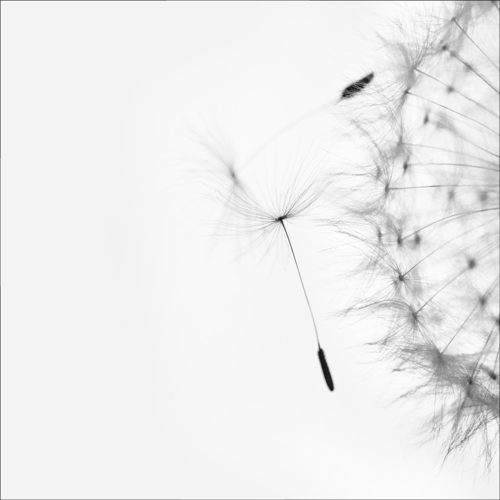 AL10381BW