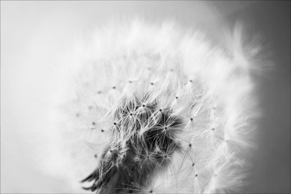 AL10383BW