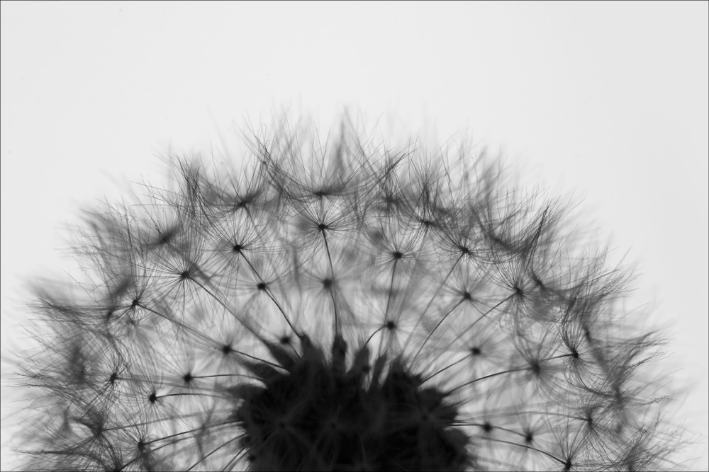 AL10384BW