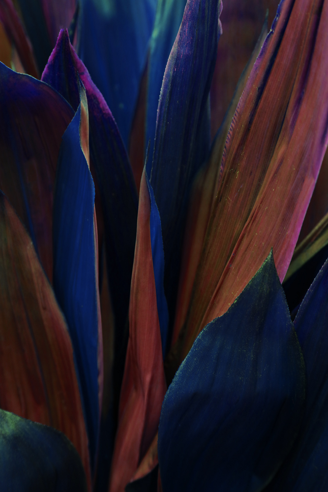 AL13104 more colors