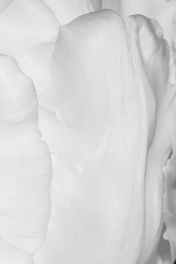 AL13254R