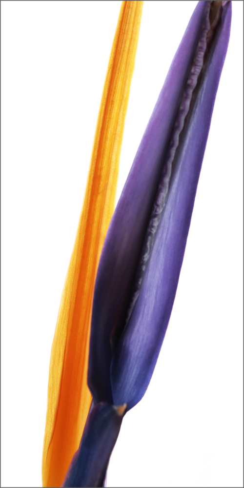 AL12388