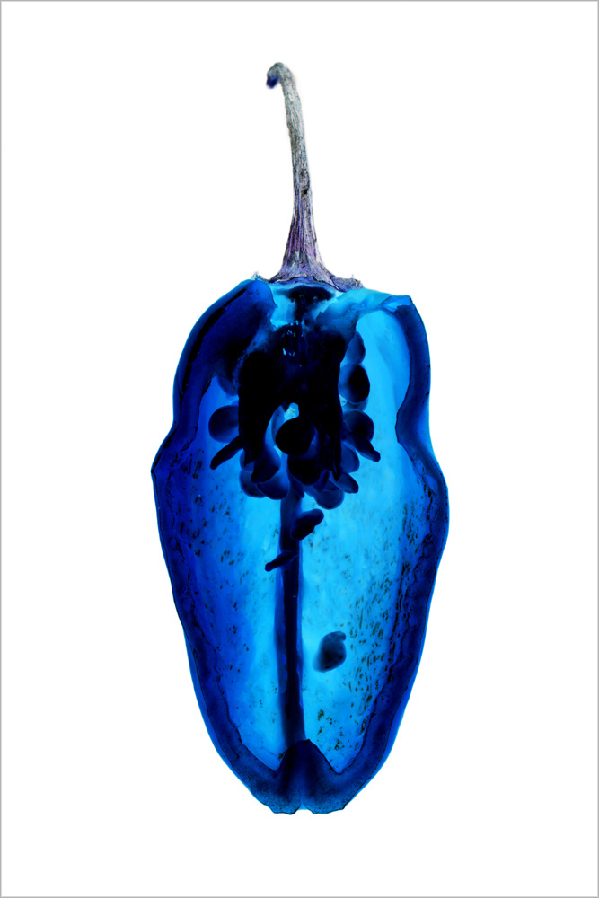 AL13487DK more colors