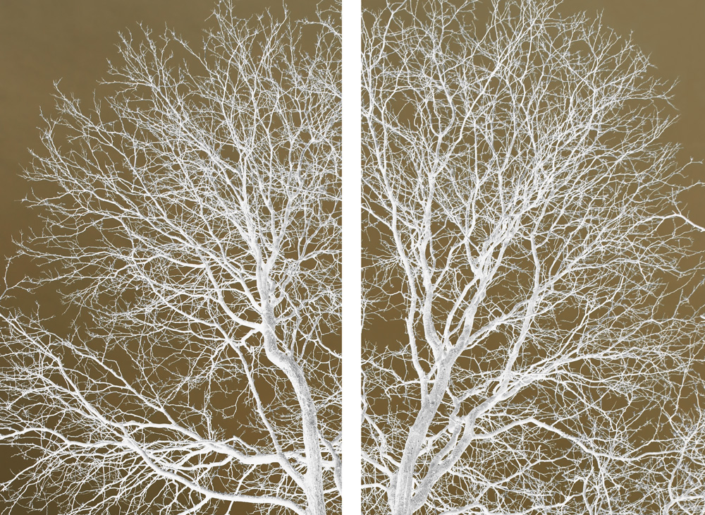 AL14043_SO2