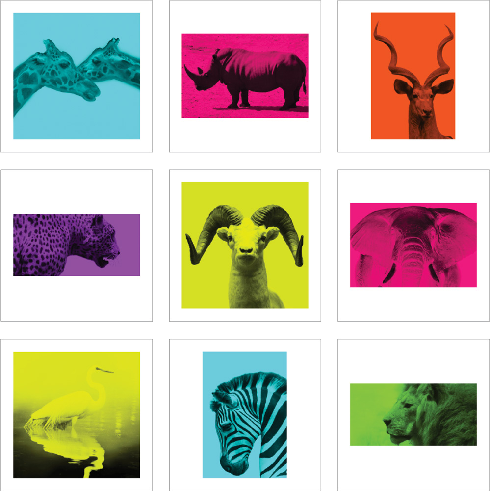 ALS674 more colors