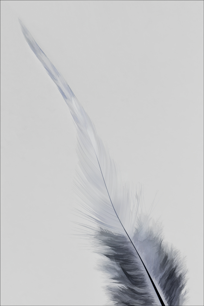 AL12419