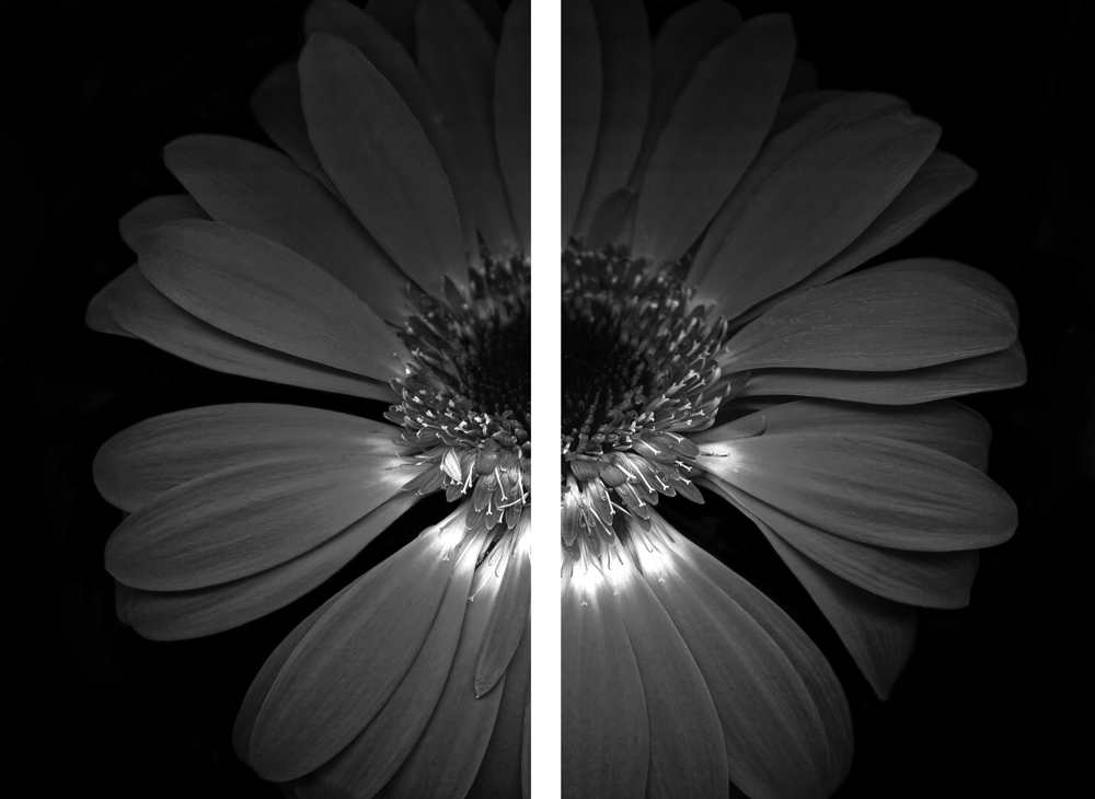 AL13485BW_SO2