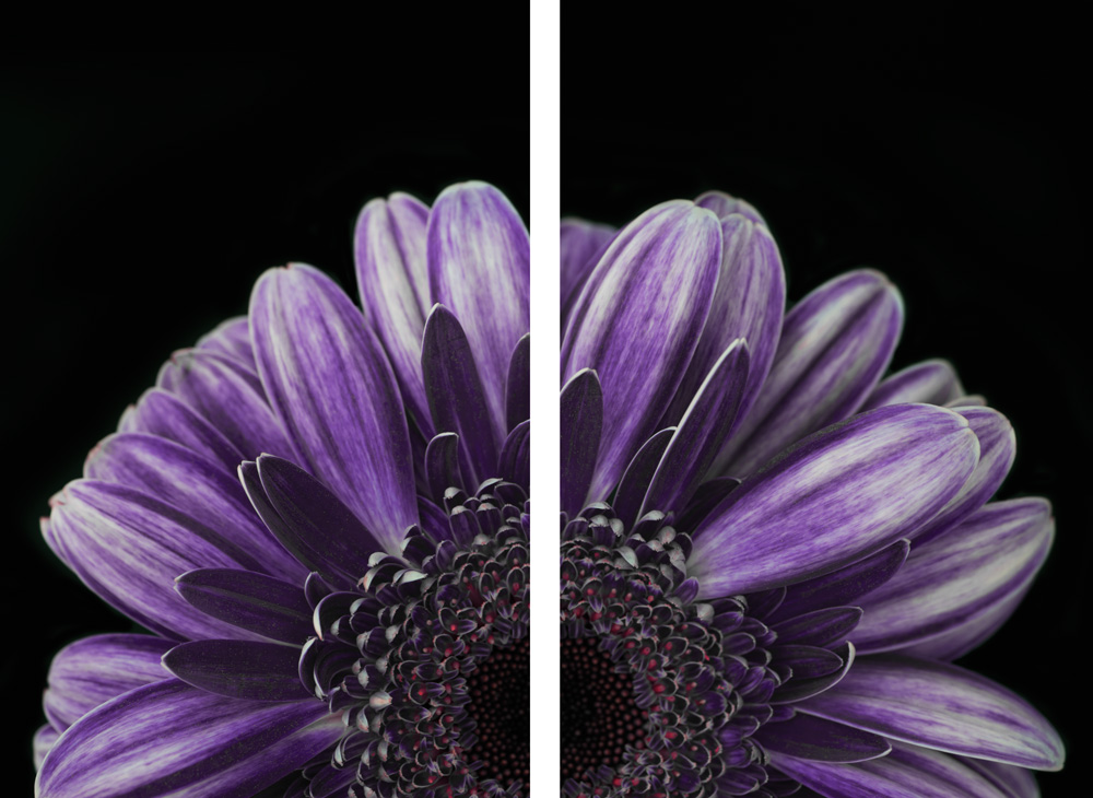 AL13824_SO2 more colors