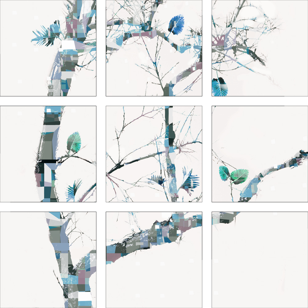 AL14505 more colors