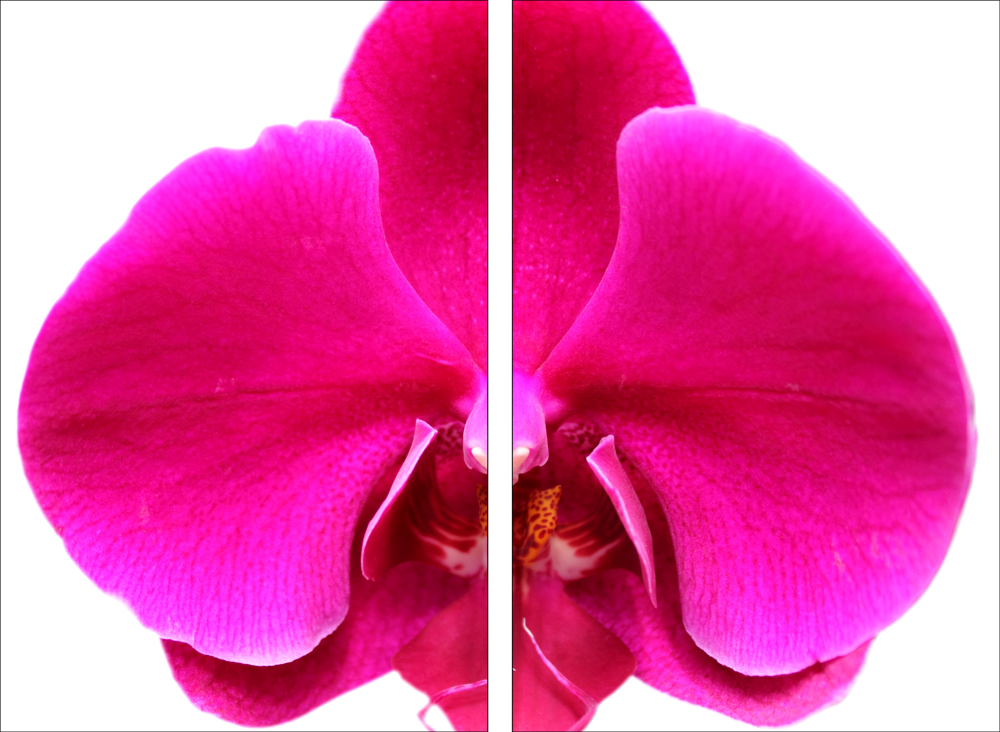 AL00974C_2P