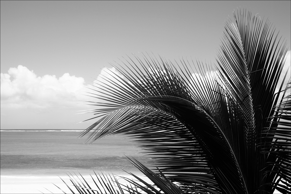 AL04056BW