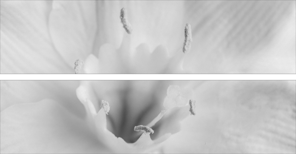 AL05479BW_SO2