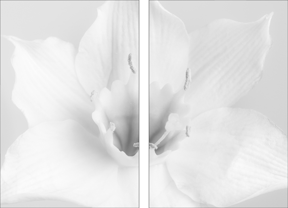 AL07229BW_SO2