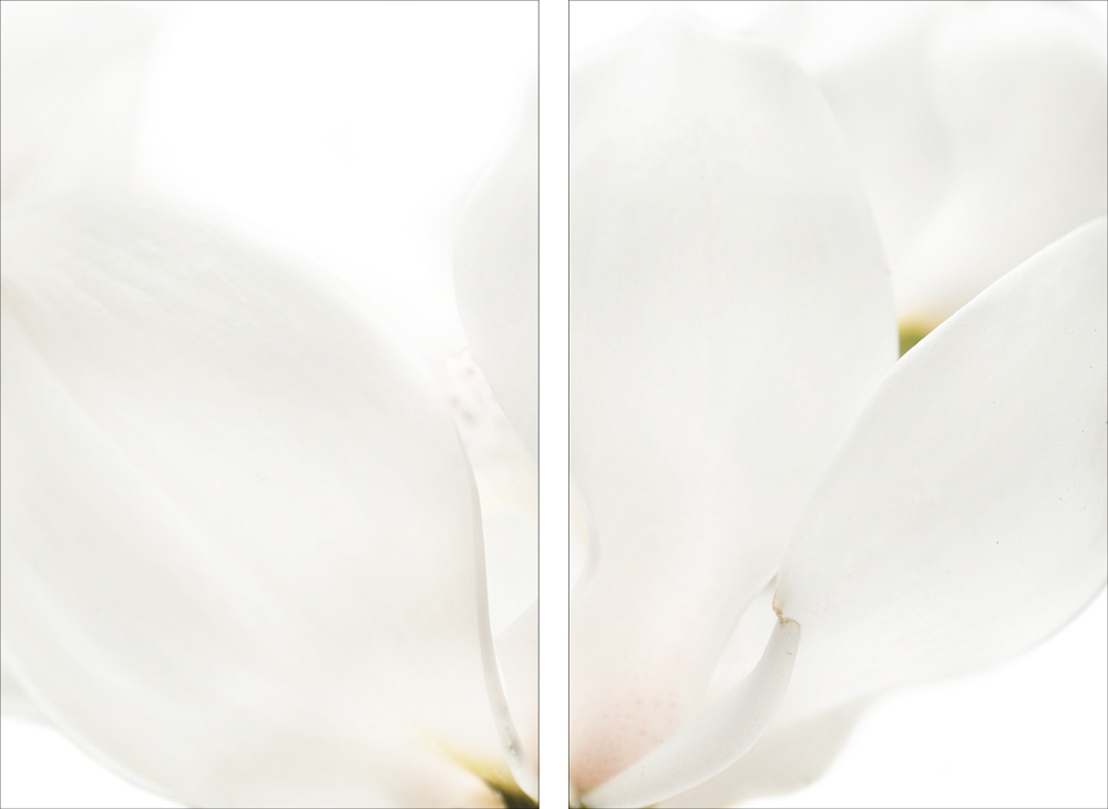 AL09978_SO2