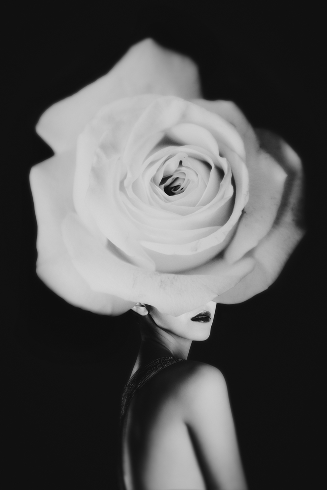 AL12638BW