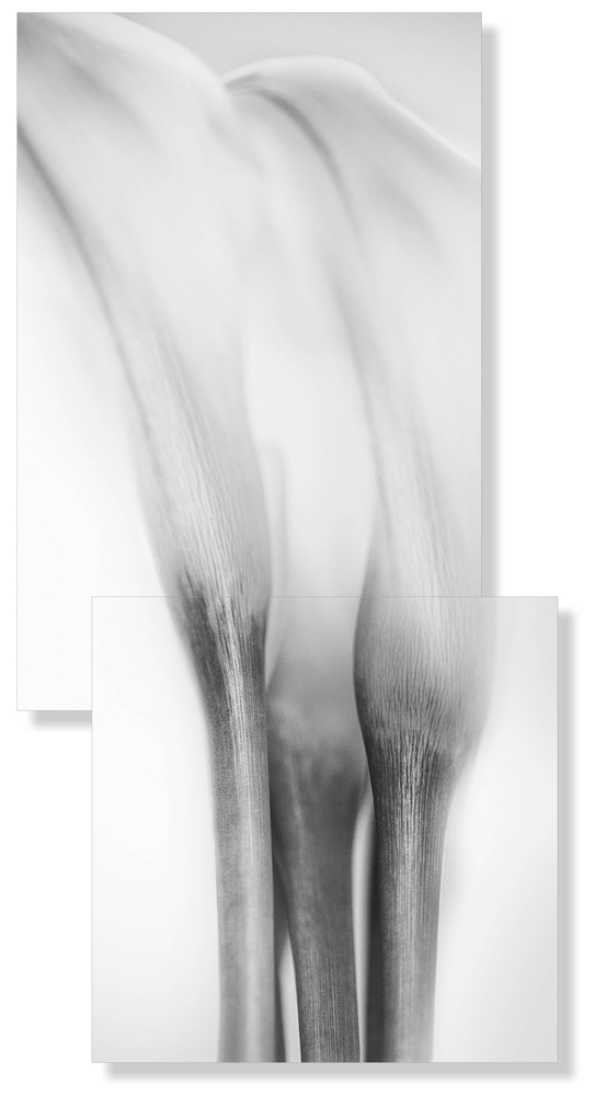 AL00137_FM_FBED_SO2