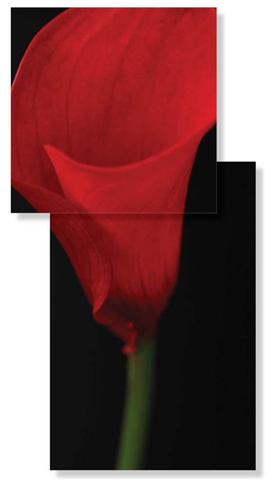 AL12298_SO2