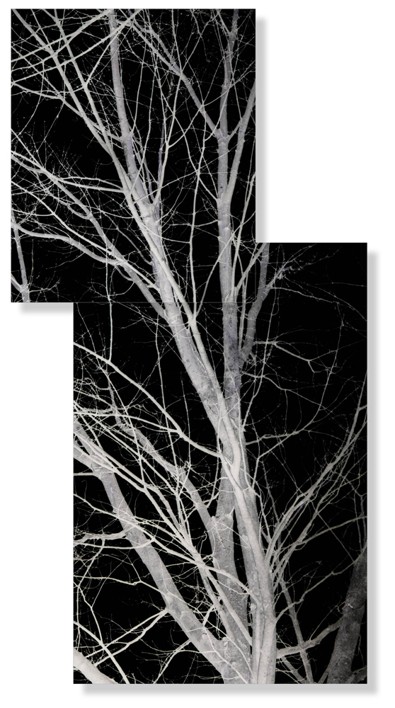 AL12950_SO2_5G