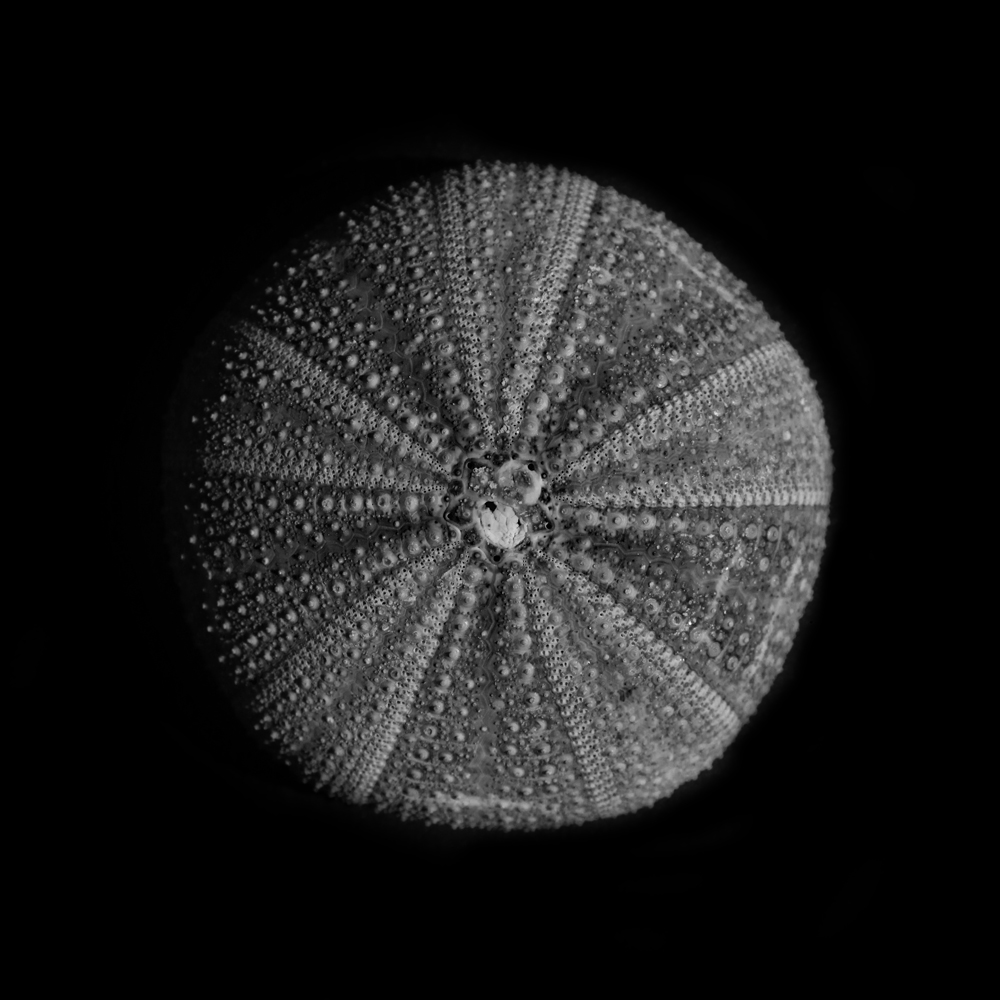 AL15283