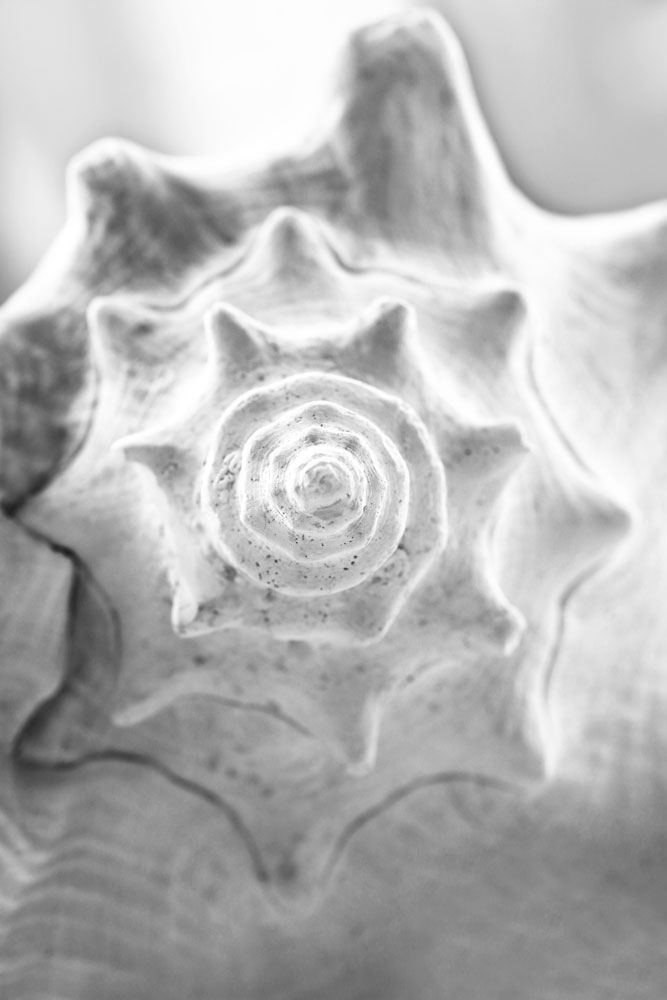 AL15806BW