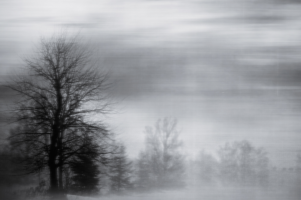 AL08331C_NV