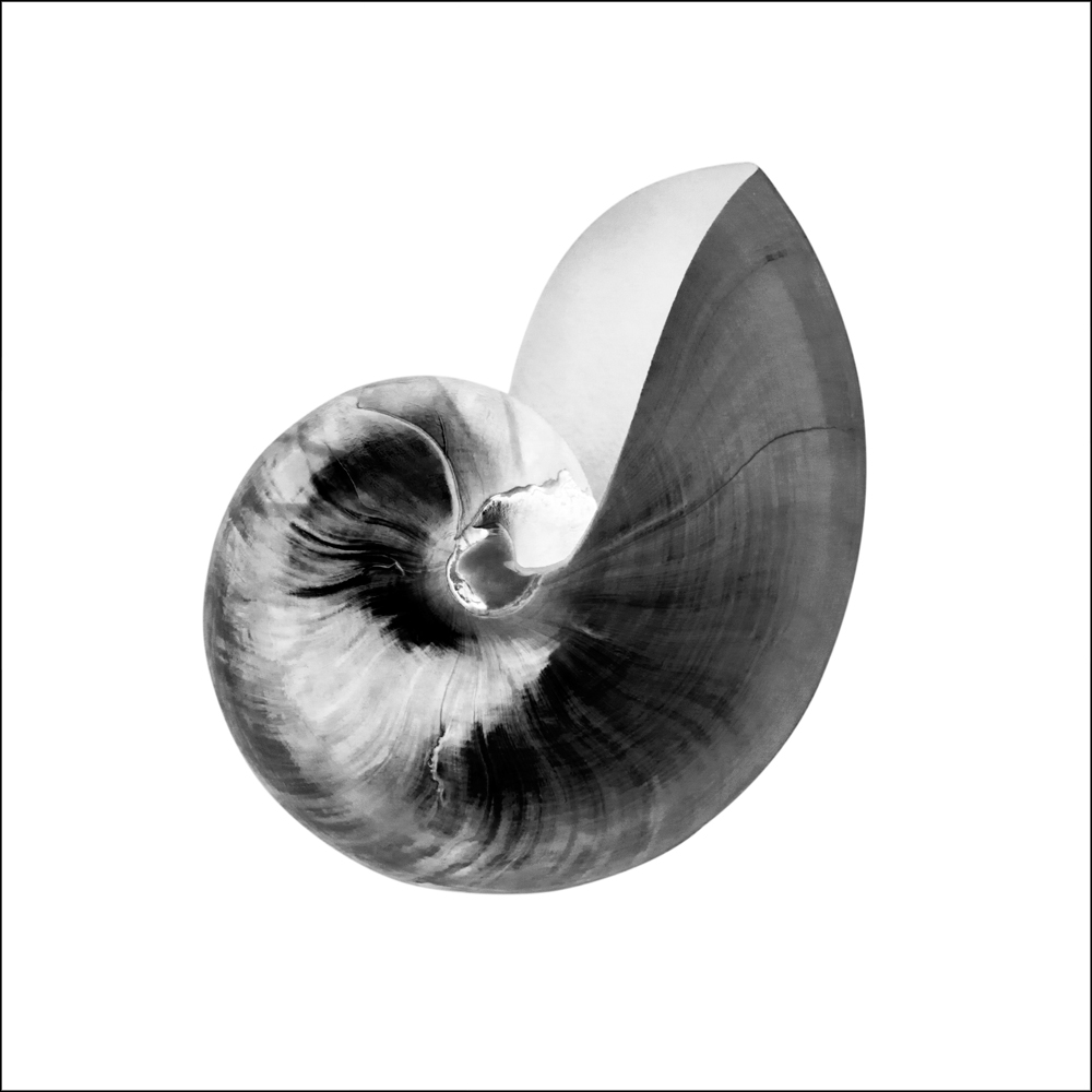 AL01657_IV