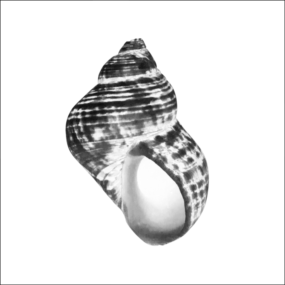 AL01659_IV