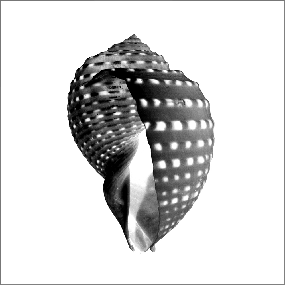 AL01660_IV