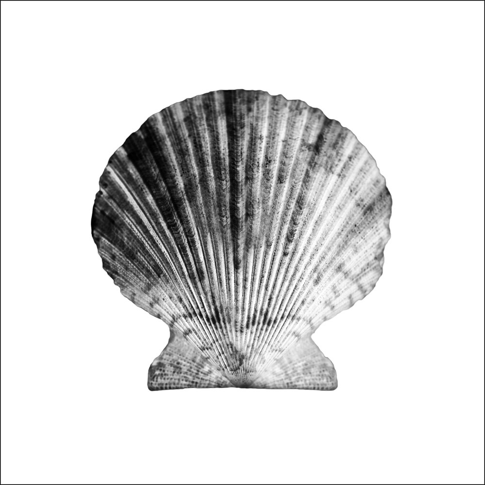 AL15924_IV