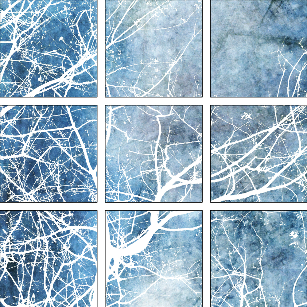 AL16001 more colors