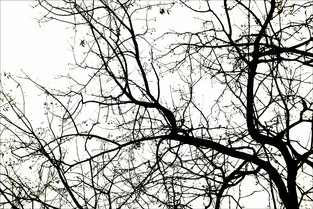 AL16003 more colors
