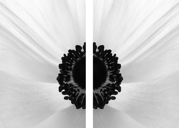 AL16097_SO2