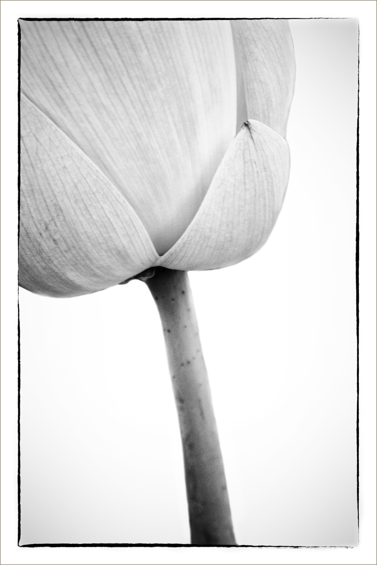 AL05638_FM_FL