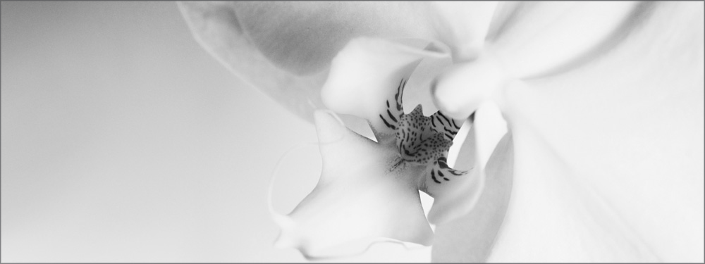 AL11251BW_1P