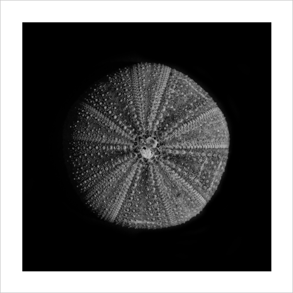 AL15283_WB