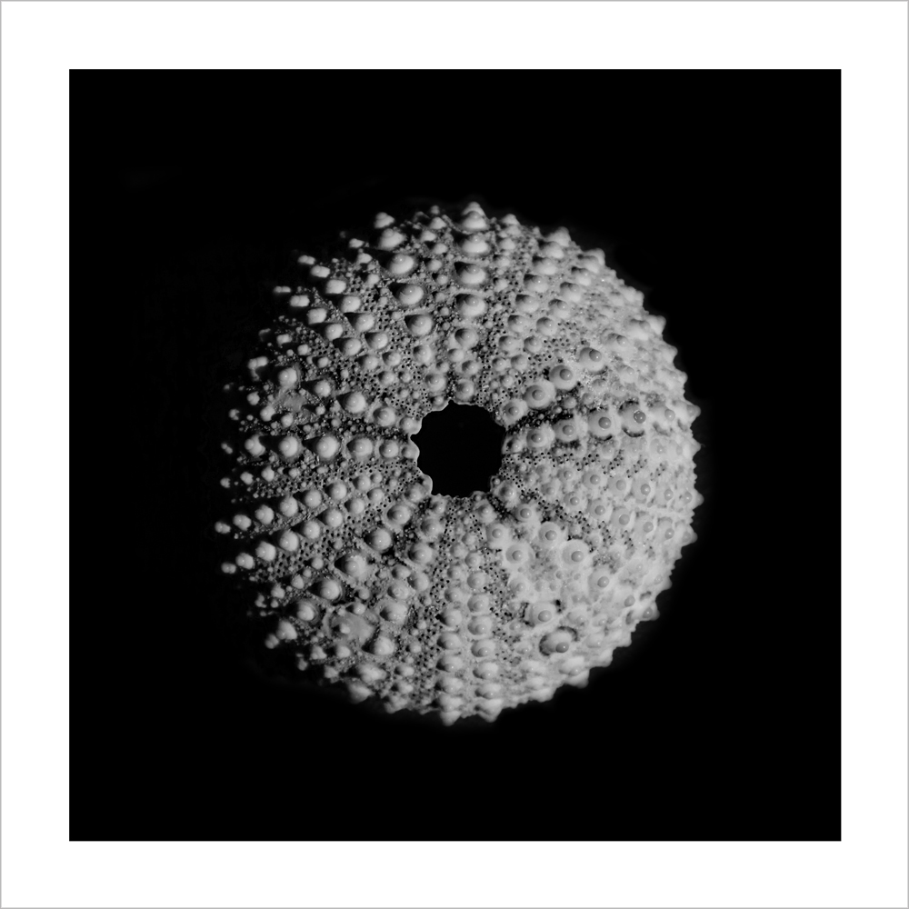AL15284_WB