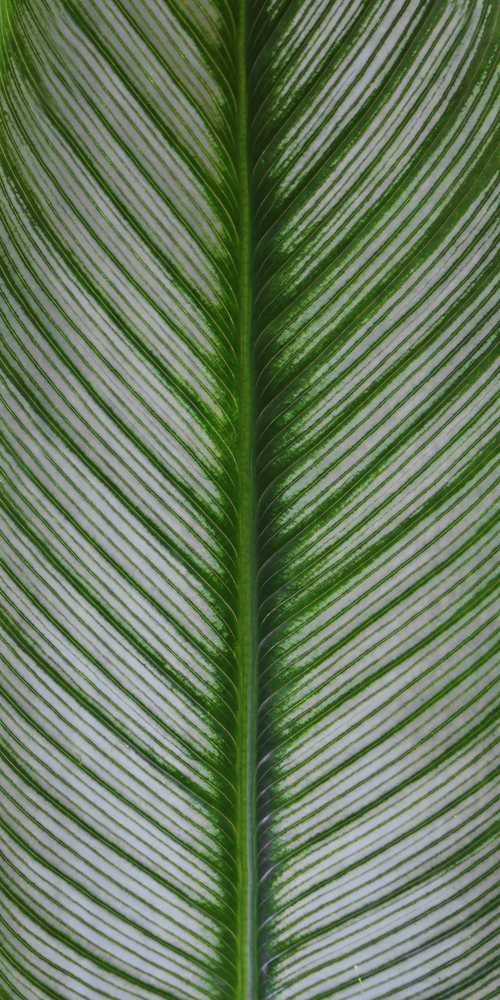 AL16552