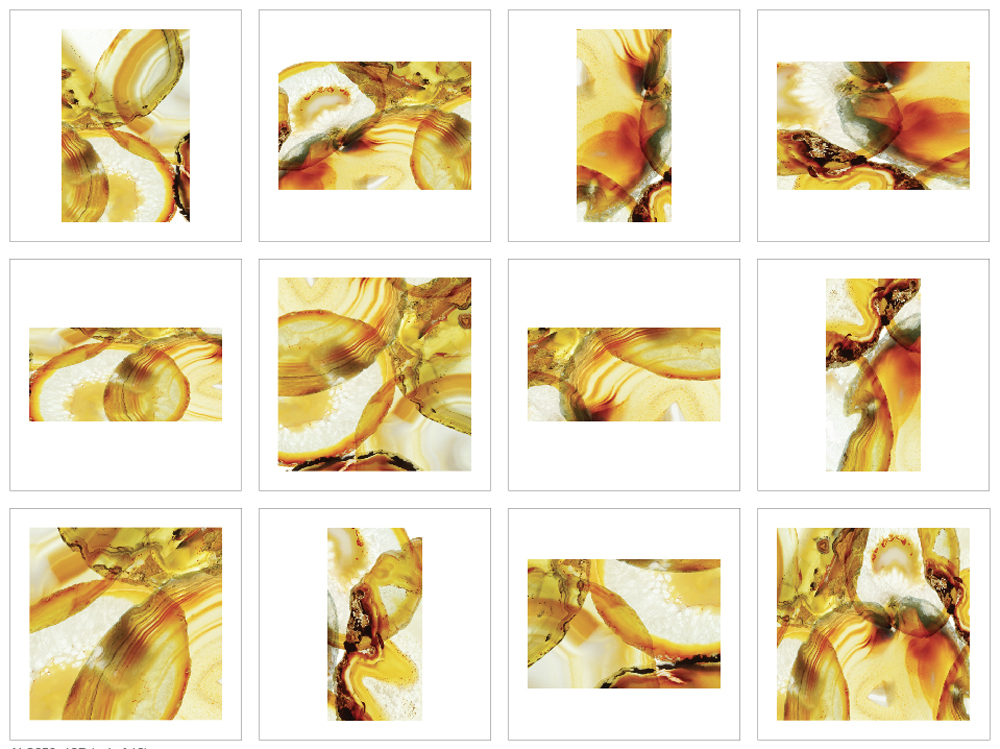 ALS658_12P